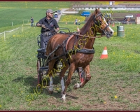2POSIEUX 0196